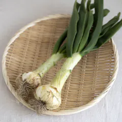 葉つき玉ねぎ