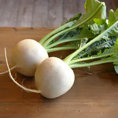 かぶ