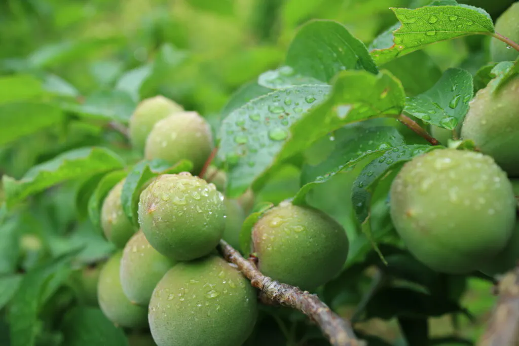 slide-3