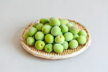 梅（品種おまかせ） 1kg