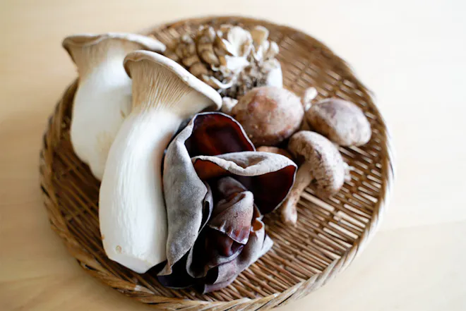 きのこおまかせセット[定期宅配]