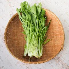 水菜