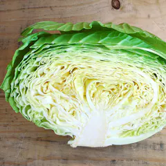 キャベツ