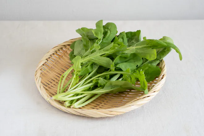 ルッコラ 50g