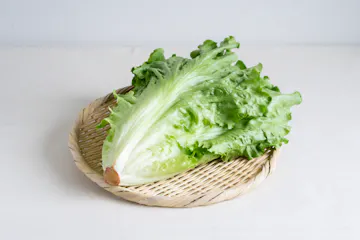 【特別価格】リーフレタス（みどり）