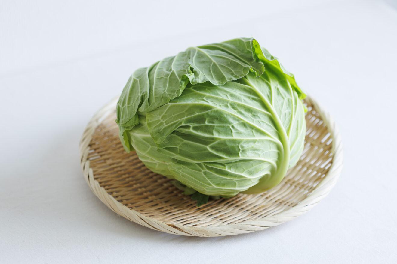 キャベツ 700g程度 | 坂ノ途中Onlineshop | 出会う、味わう、季節の