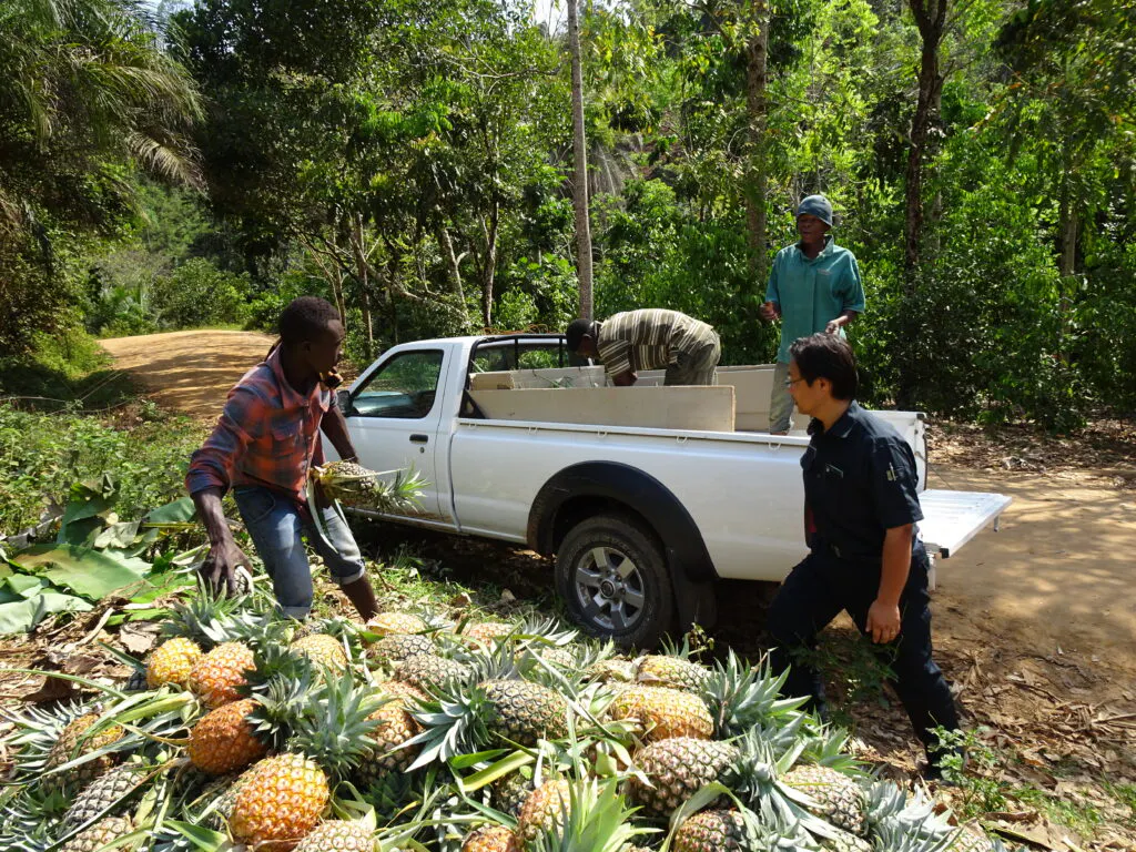 slide-3