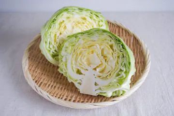 キャベツ（グリーンボール） 500g程度
