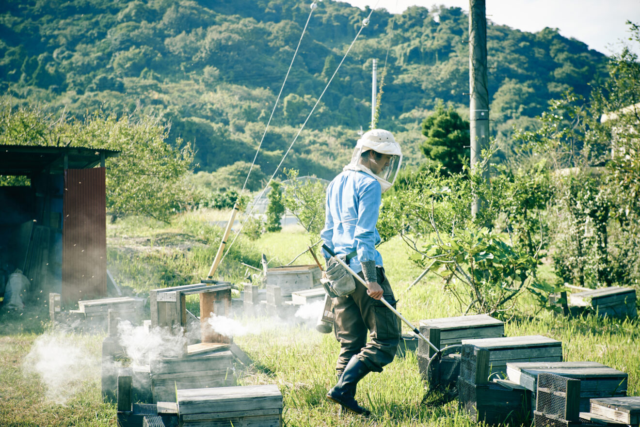 島のはちみつ 190g | 坂ノ途中Onlineshop | 出会う、味わう、季節の