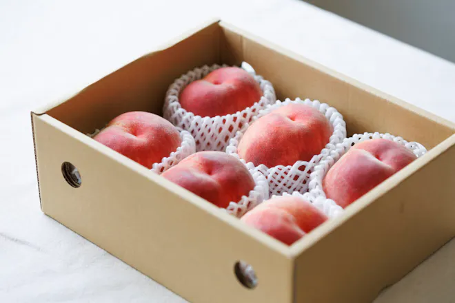 【2025年産終了】【産地直送】特栽相当・やまなし甲州の桃 2kg（送料込）
