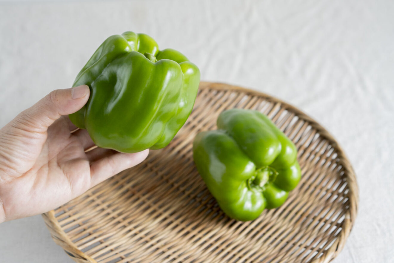 豊作特別価格】八ヶ岳のぽってり肉厚ピーマン 300g | 坂ノ途中