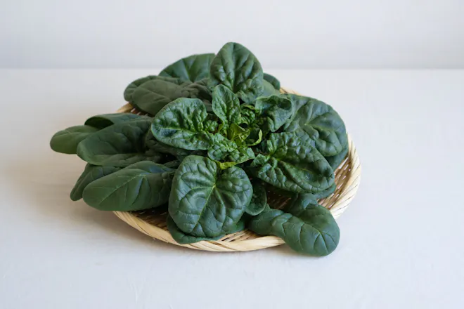 はっぱ屋のちぢみほうれんそう 150g（150g×1袋）