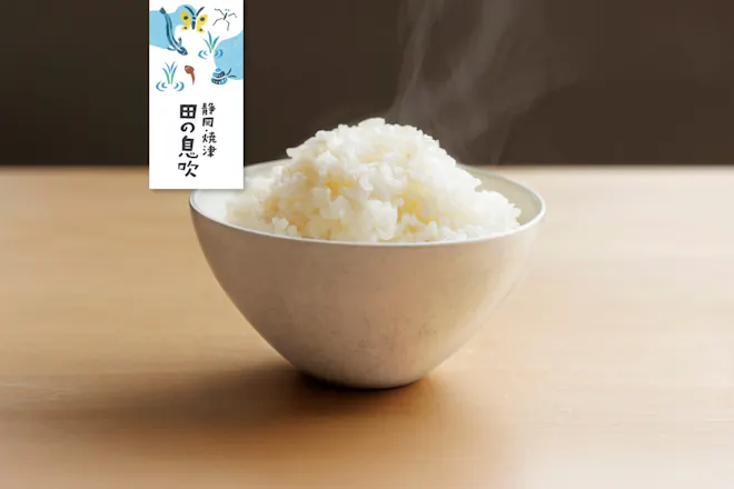 静岡・焼津のお米　田の息吹（品種：コシヒカリ） [定期宅配]
