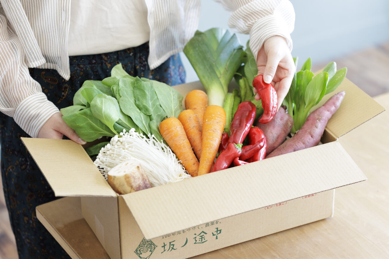 坂ノ途中 きほんのお野菜セット[定期宅配](S)[再開] | 坂ノ途中