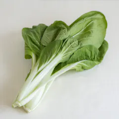 しろ菜