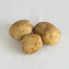 新じゃがいも