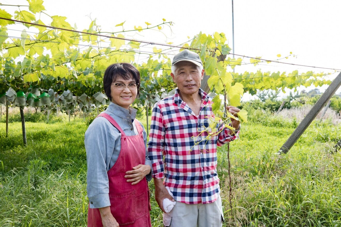 産地直送】山梨甲府のぶどう・甲斐のくろまる 2kg（特栽相当） | 坂ノ