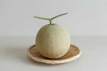 ゆたかわファームのメロン 1玉