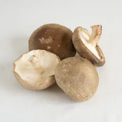 しいたけ