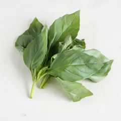 バジル
