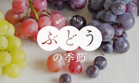 おすすめの特集