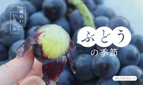 おすすめの特集