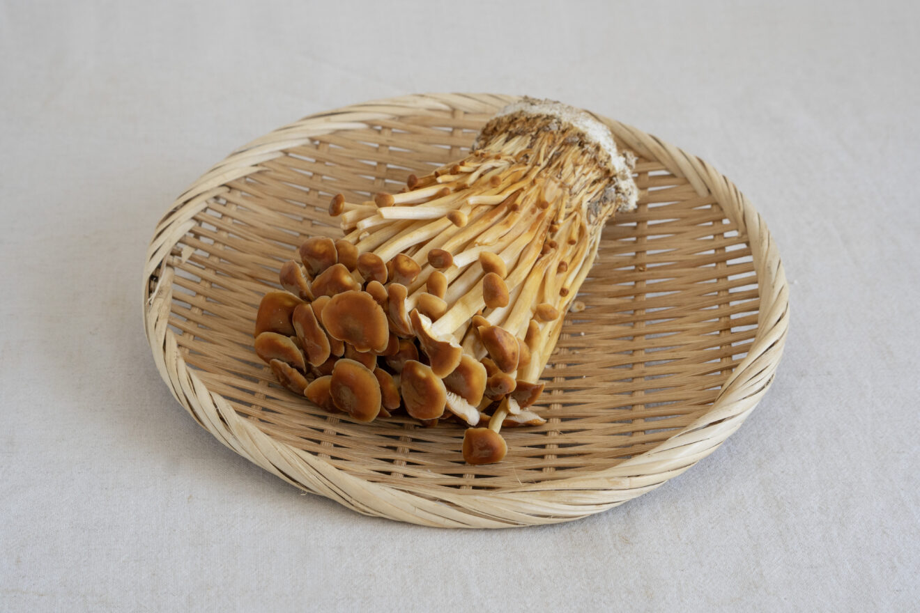えのき2種セット | 坂ノ途中Onlineshop | 出会う、味わう、季節の暮らし。