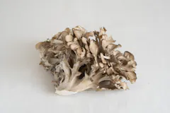 【特別価格】まいたけ 100g