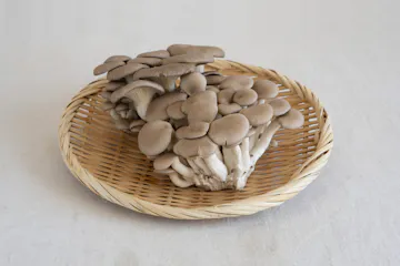 ひらたけ 100g