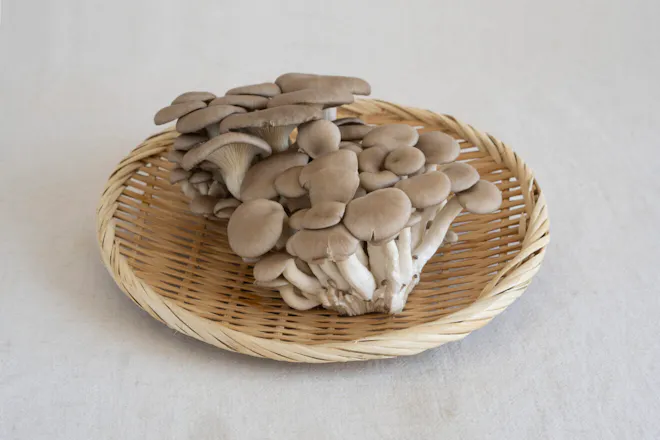 ひらたけ 100g
