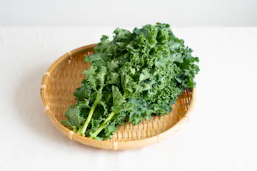 【特別価格】カーリーケール 100g