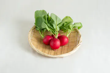 京丹波ラディッシュ 120g程度