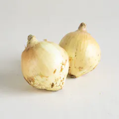新玉ねぎ