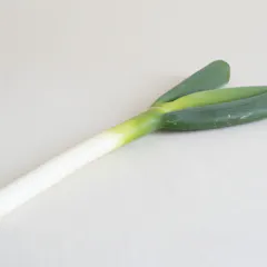 ねぎ