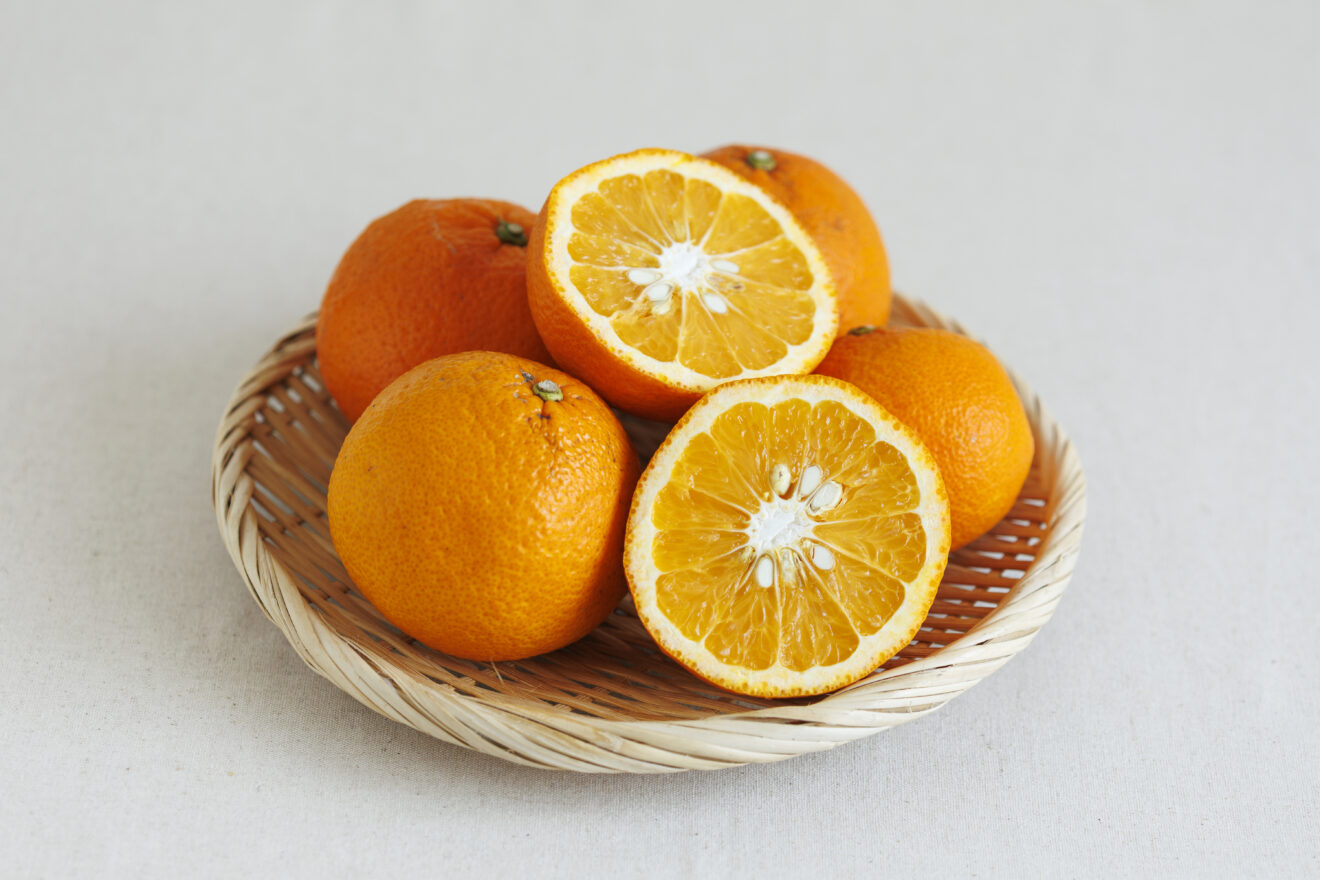 がんもさま専用出品 紅甘夏 3年生 結実実績あり！ 紅甘夏 1kg | 坂ノ途中Onlineshop | 出会う、味わう、季節の暮らし。