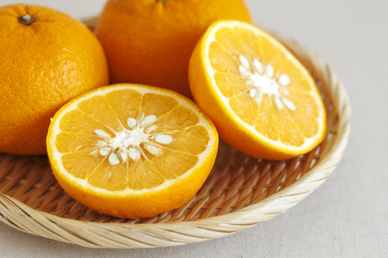 紅甘夏 1kg | 坂ノ途中Onlineshop | 出会う、味わう、季節の暮らし。