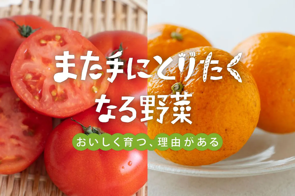 また手にとりたくなる野菜
