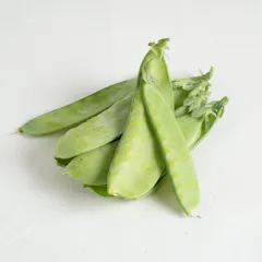 きぬさや