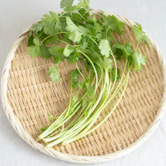 パクチー