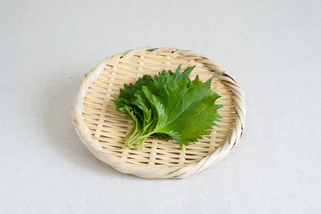 大葉 10枚