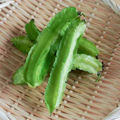 四角豆