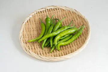 伏見とうがらし 100g