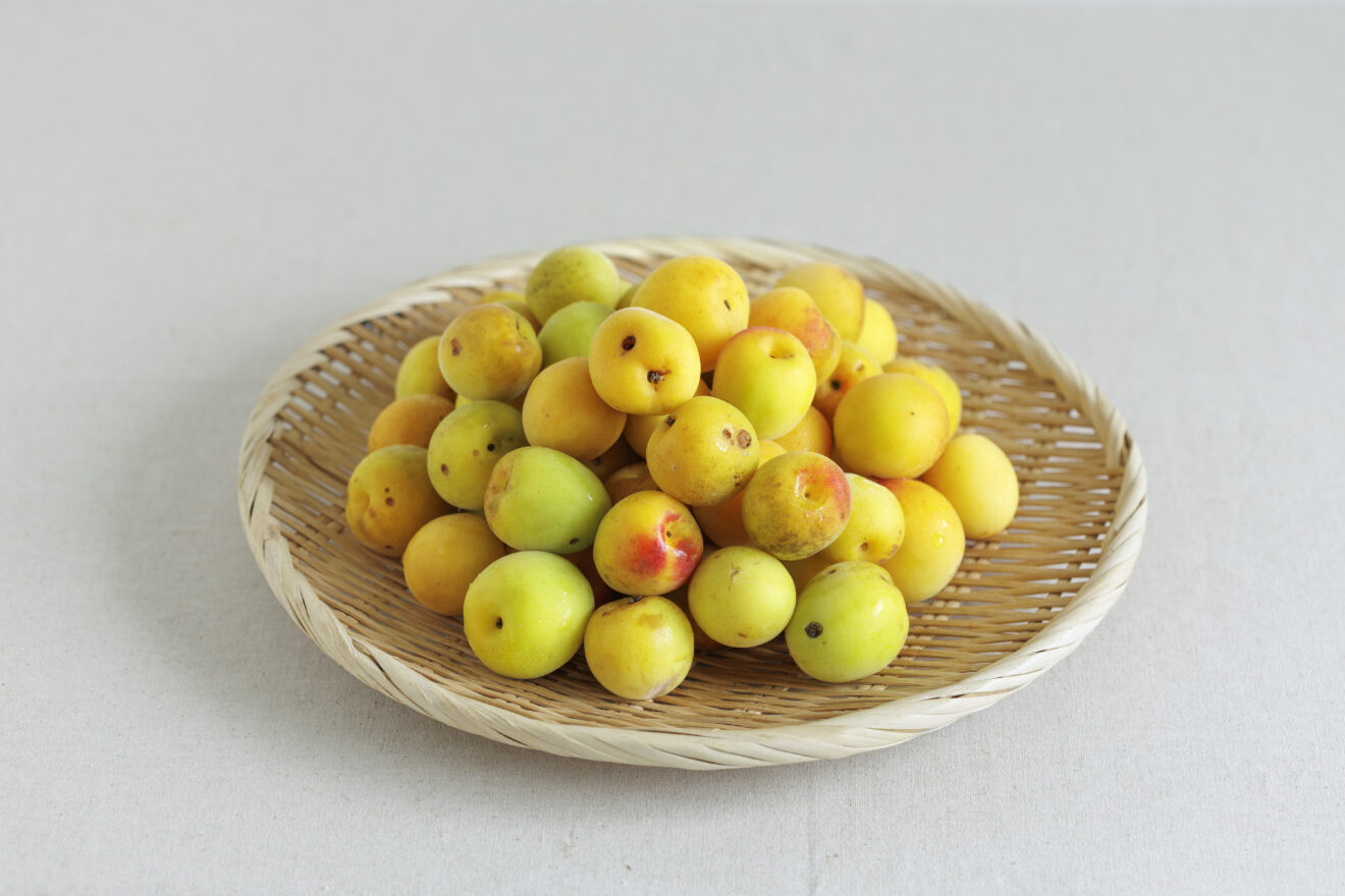 期間限定・梅しごと | 坂ノ途中Onlineshop | 出会う、味わう、季節の