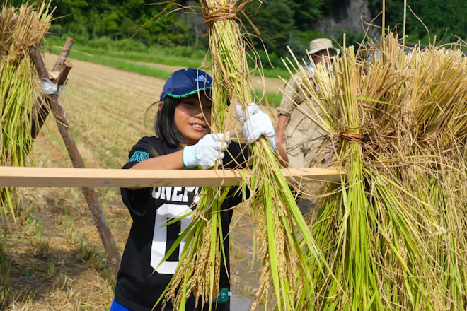 【9月23日(火)開催】岡山県・西粟倉村でお米の収穫と生きもの探検