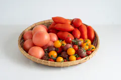 【産地直送】飛騨のトマト食べくらべセット 3kg