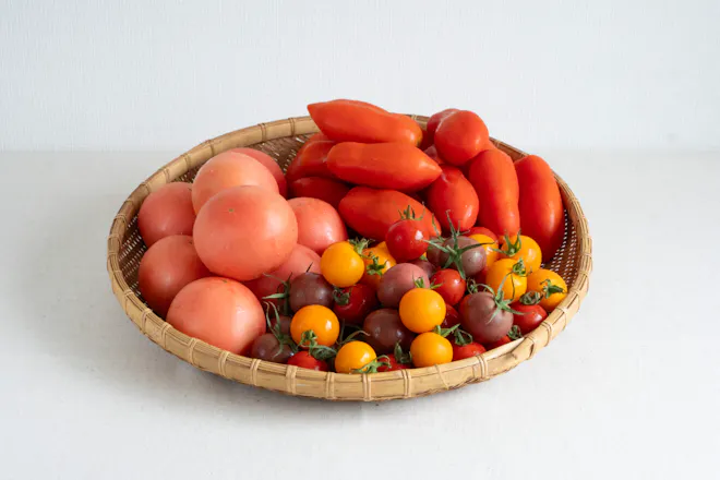【産地直送】飛騨のトマト食べくらべセット 3kg