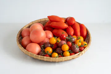 【産地直送】飛騨のトマト食べくらべセット 3kg
