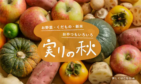 おすすめの特集