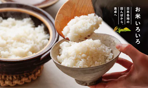 おすすめの特集