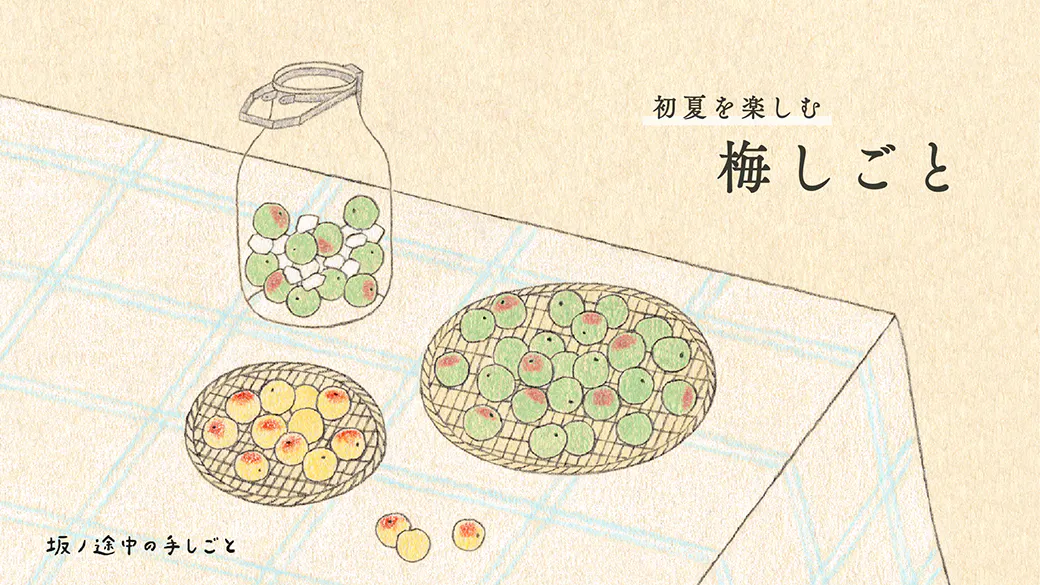 期間限定・梅しごと